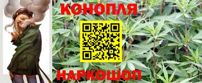 бошки Славянск-на-Кубани