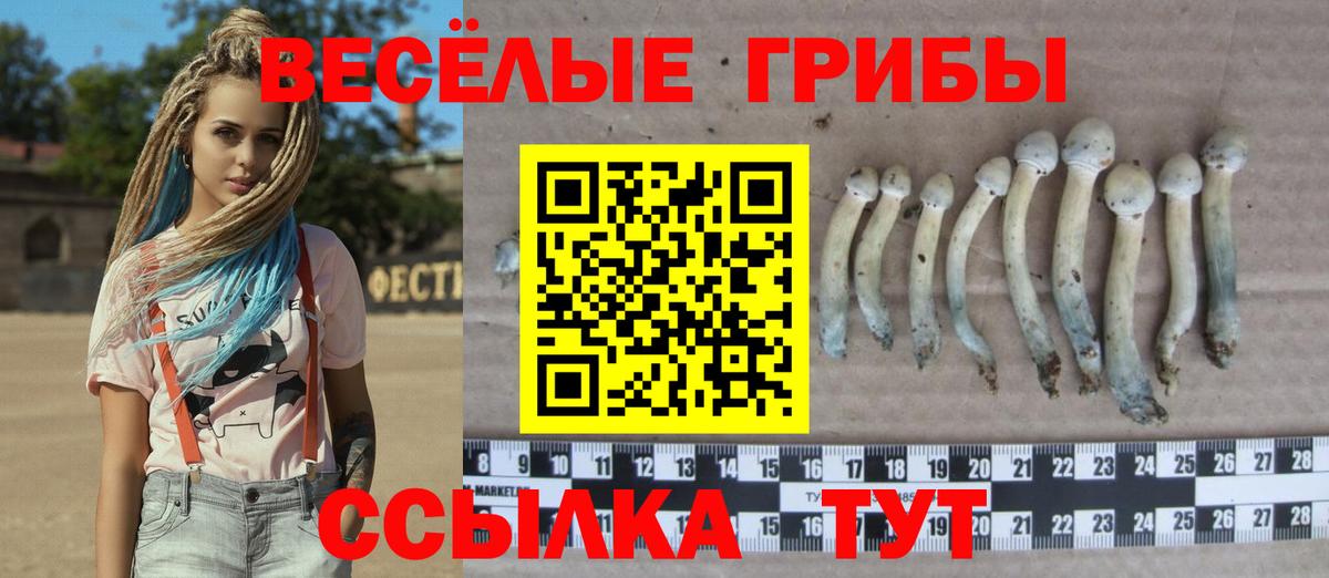 Баксан  Псилоцибиновые грибы прущие грибы  Вход с VPN  Галлюциногенные грибы Magic Shrooms 